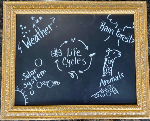 chalkboard with informative ideas written on it