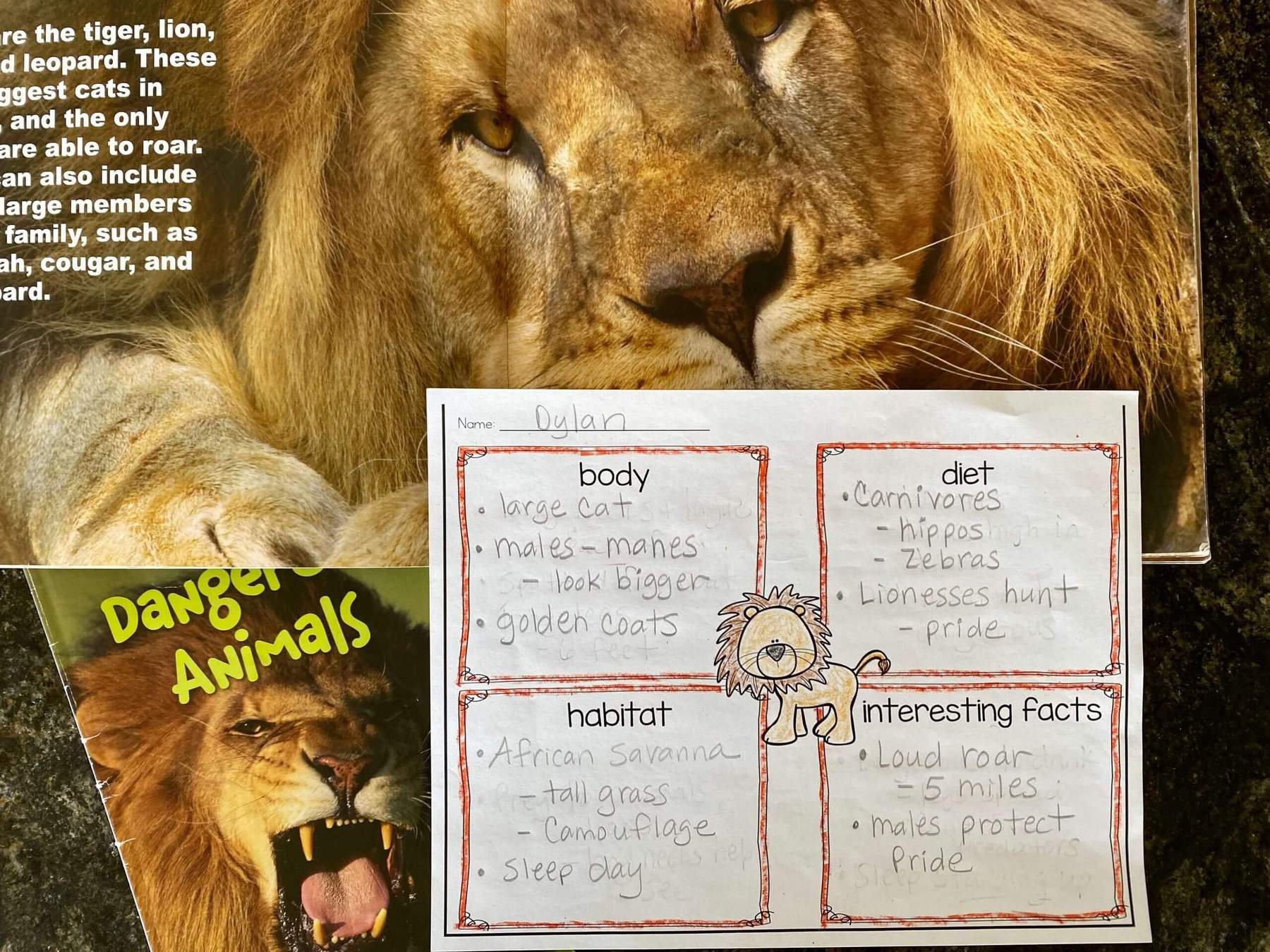 first grade lion notes