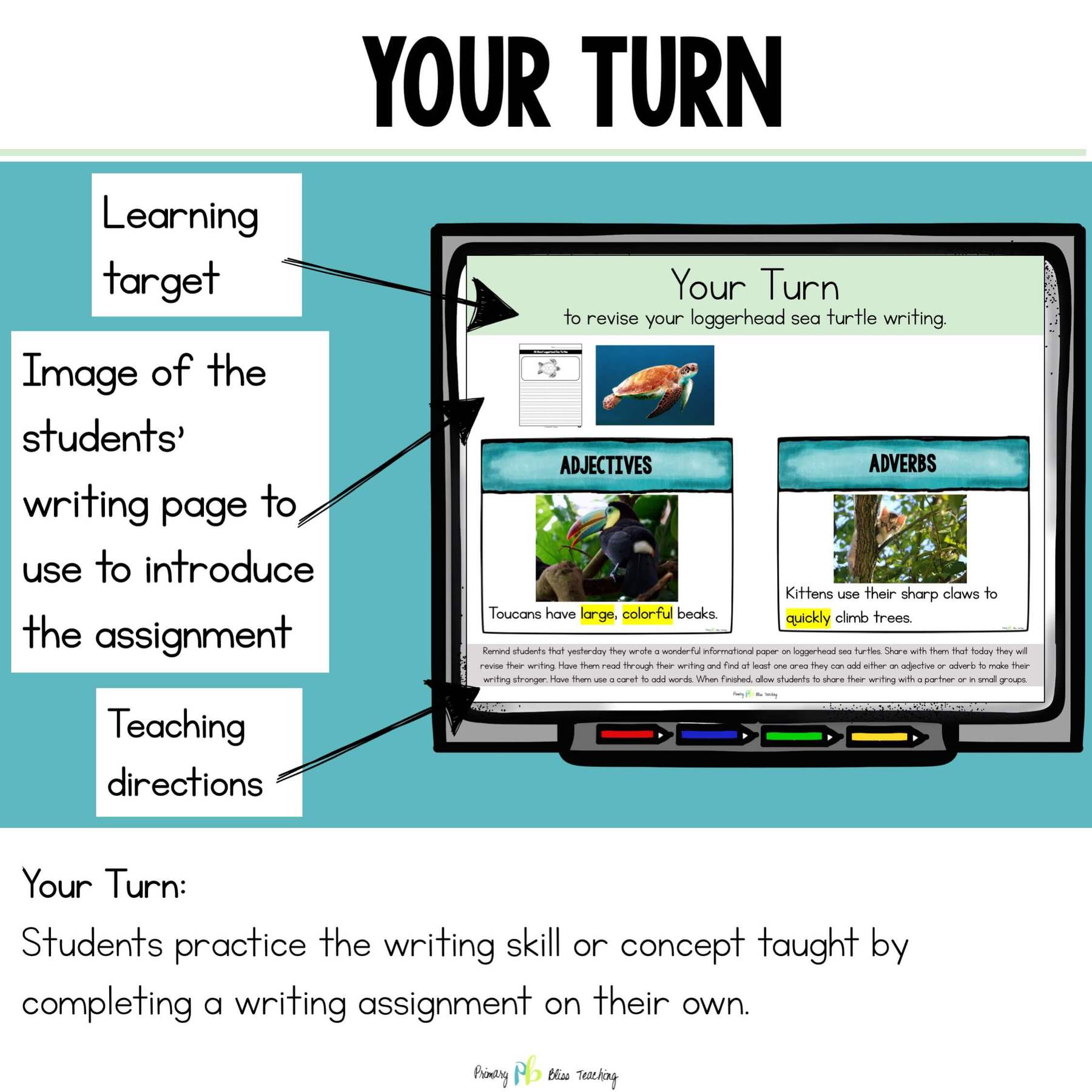 SECOND GRADE STRUCTURED INFORMATIVE WRITING CURRICULUM with WRITING PROMPTS - Image 11