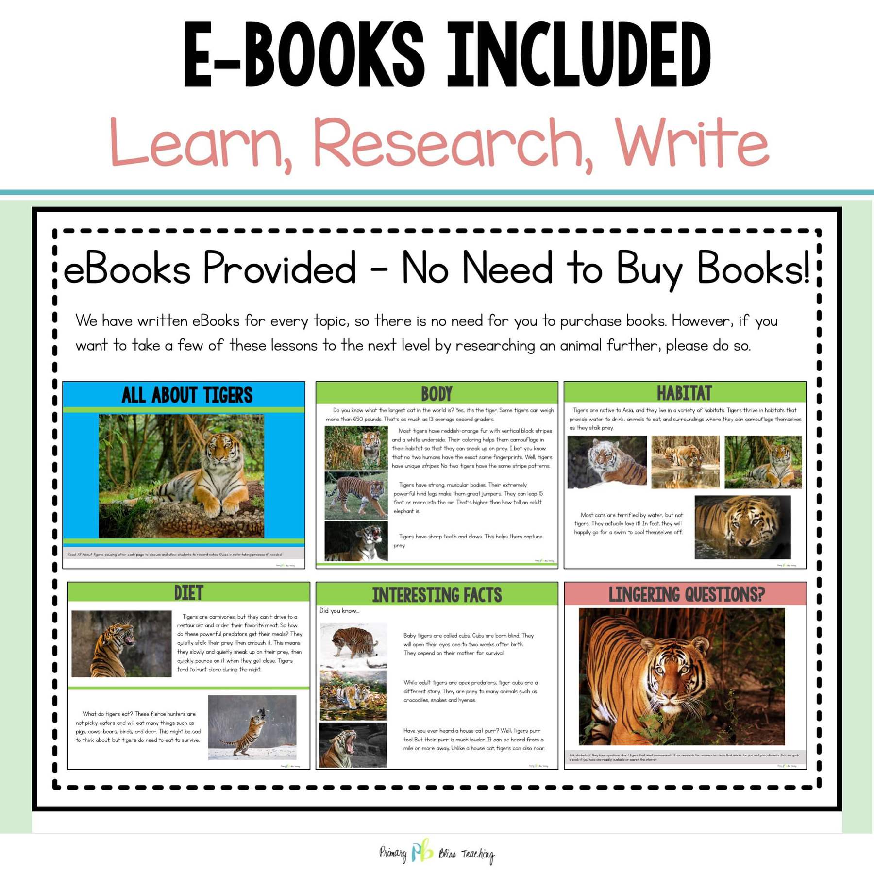 SECOND GRADE STRUCTURED INFORMATIVE WRITING CURRICULUM with WRITING PROMPTS - Image 5