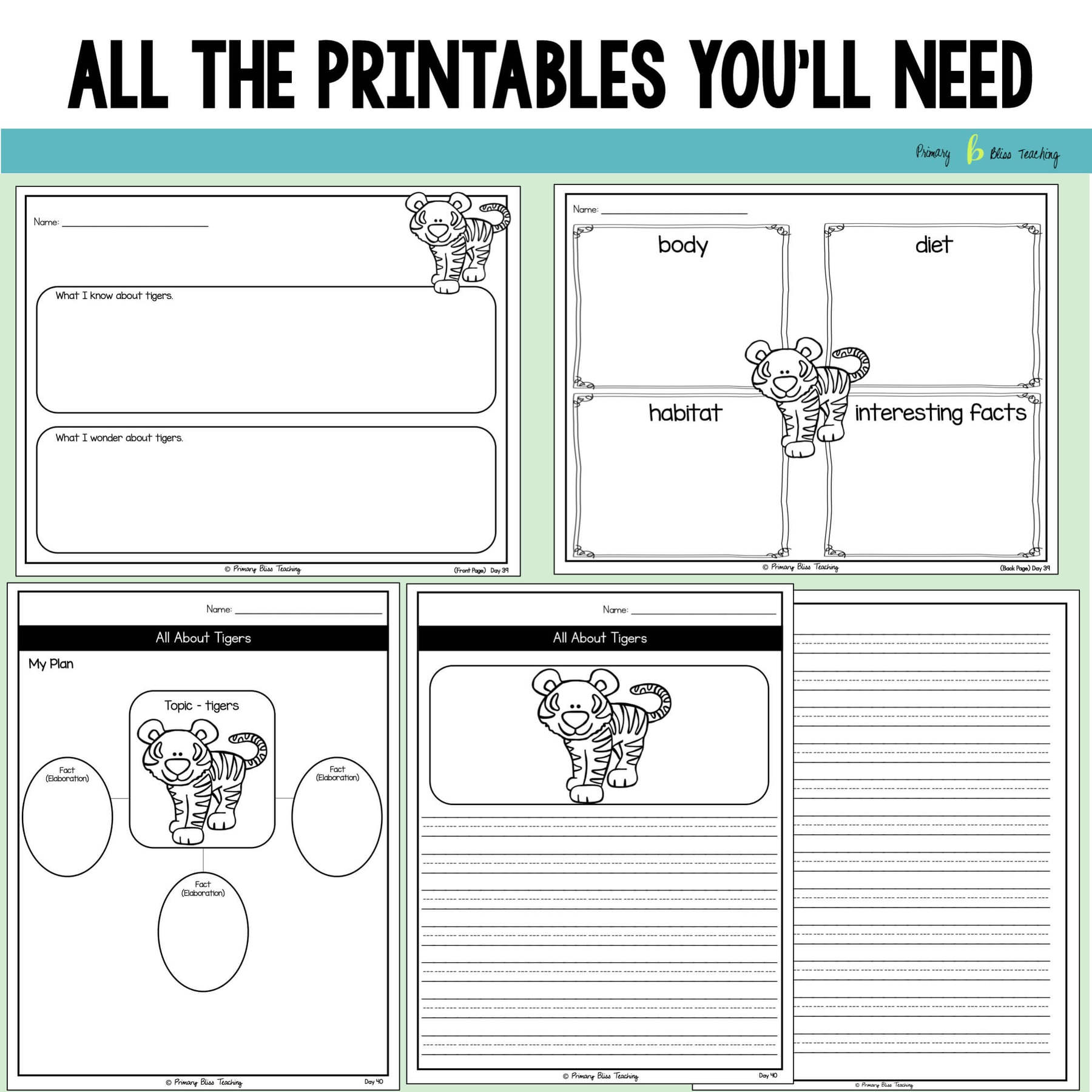 SECOND GRADE STRUCTURED INFORMATIVE WRITING CURRICULUM with WRITING PROMPTS - Image 6