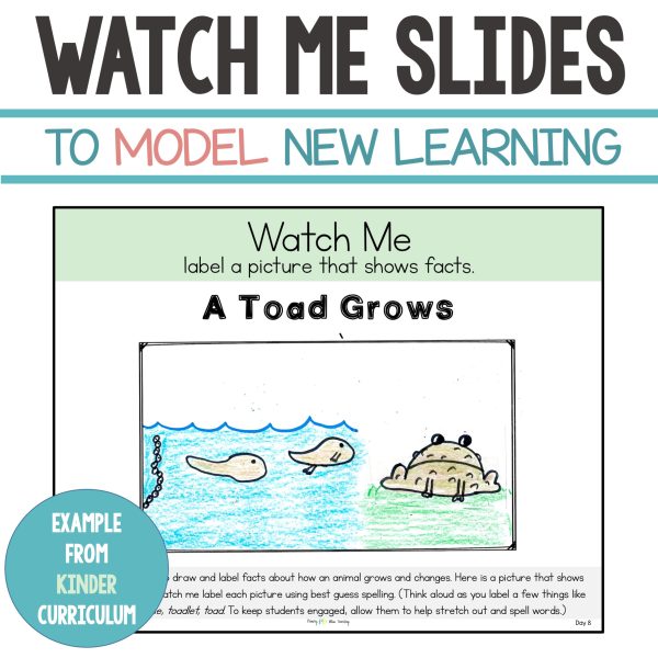 KINDERGARTEN, FIRST GRADE, and SECOND GRADE EXPLICIT WRITING CURRICULUM with WRITING PROMPTS - Image 5