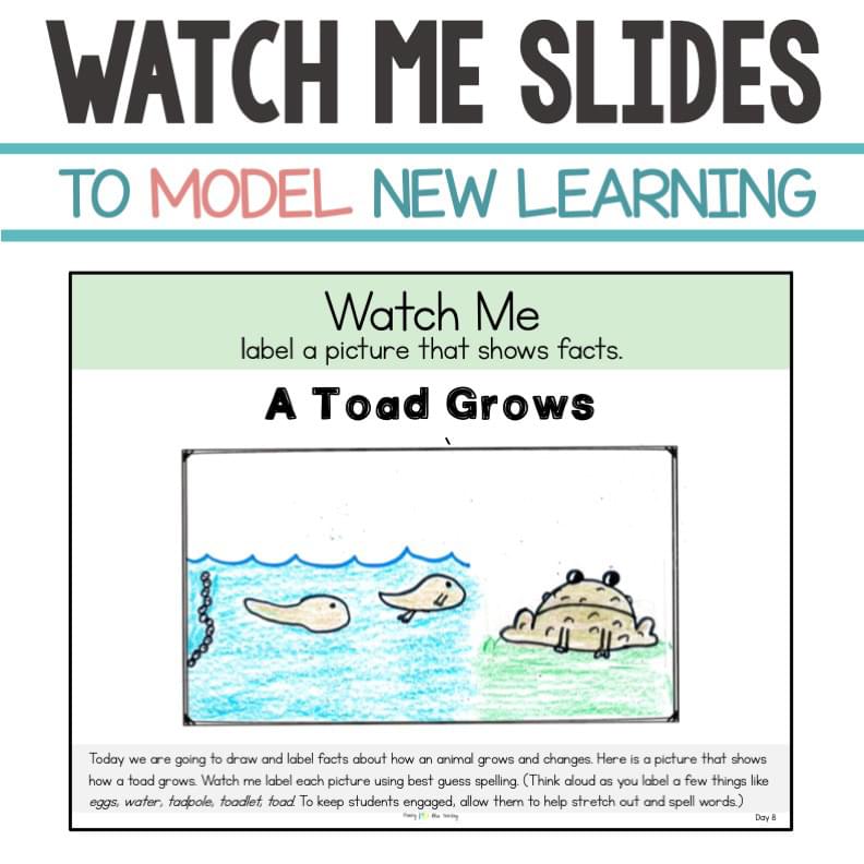 KINDERGARTEN EXPLICIT OPINION, NARRATIVE, AND INFORMATIVE WRITING CURRICULUM with WRITING PROMPTS - Image 4