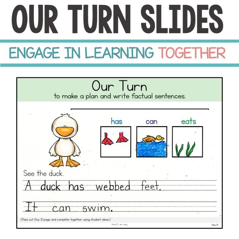 KINDERGARTEN EXPLICIT OPINION, NARRATIVE, AND INFORMATIVE WRITING CURRICULUM with WRITING PROMPTS - Image 5